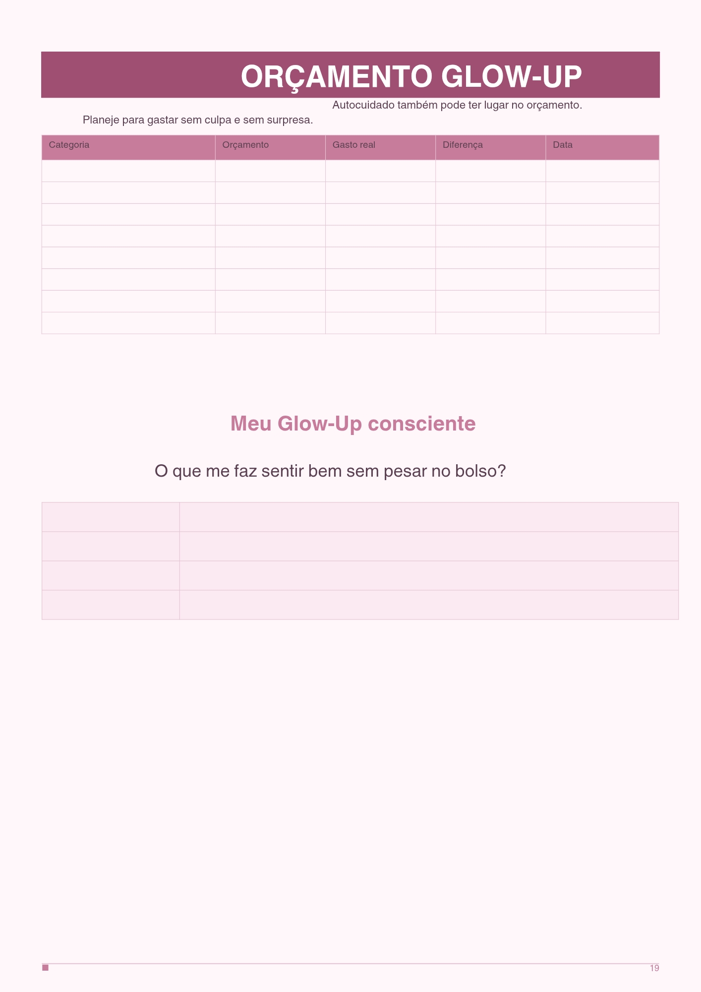 Páginas internas do manual financeiro